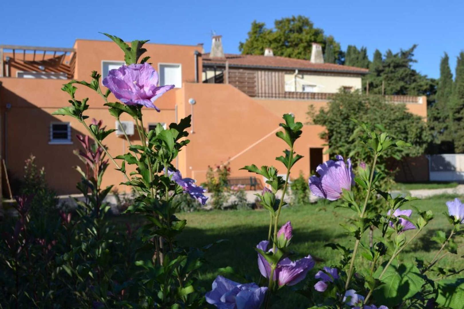 Holiday home Banyuls Latour-Bas-Elne